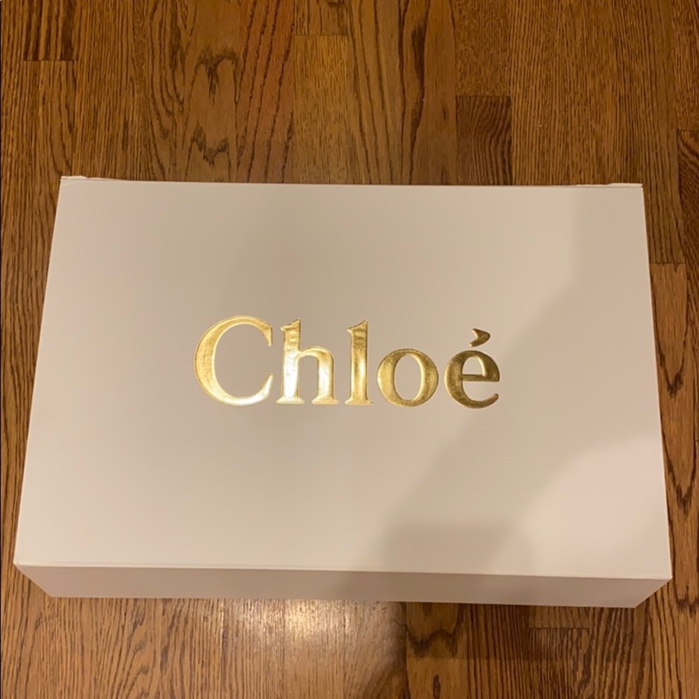 Chloe box from large hand bag 14 by 22 inches
